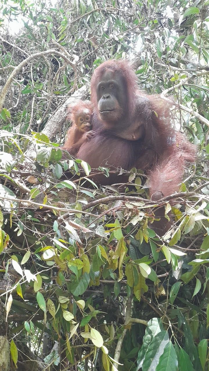 Gambar 2. Putri Tanjung dan bayinya pada tahun 2024